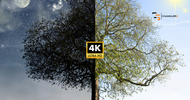 Comparison graphic showing a split image between 1080p and 4K Ultra HD quality using a tree in day and night lighting, illustrating the visual differences in video resolution.